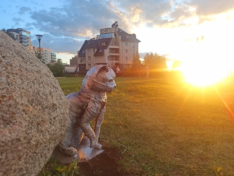 Блестящий кот украсил набережную Петрозаводска
