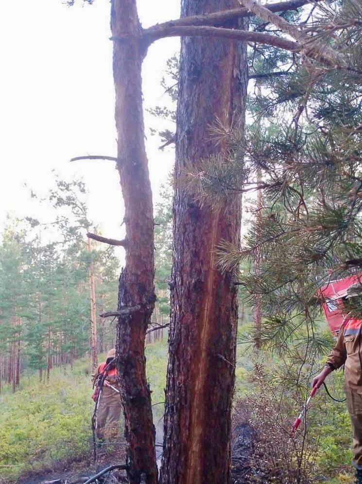 В монголию из улан удэ