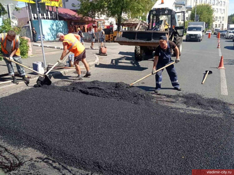 Во Владимире переход у рынка «Ополье» оборудовали лежачим полицейским