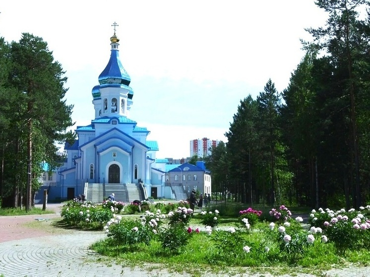 Аллея пионов радует сургутян