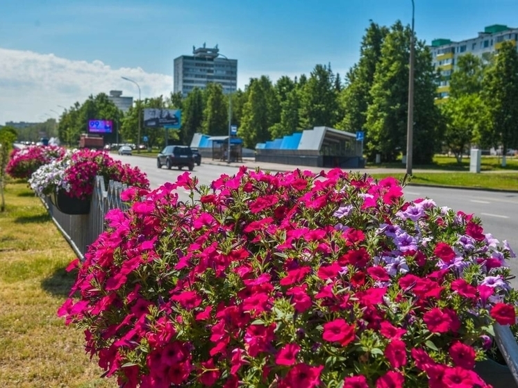 В топ-30 городов страны по качеству жизни вошли Челны и Казань