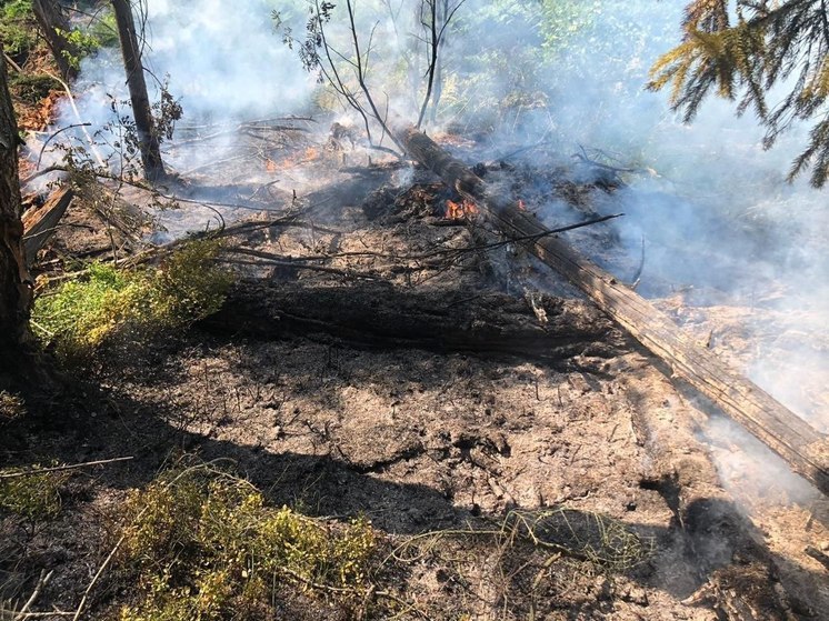 До 13 июля в Подмосковье объявлен 3-ий класс пожарной опасности
