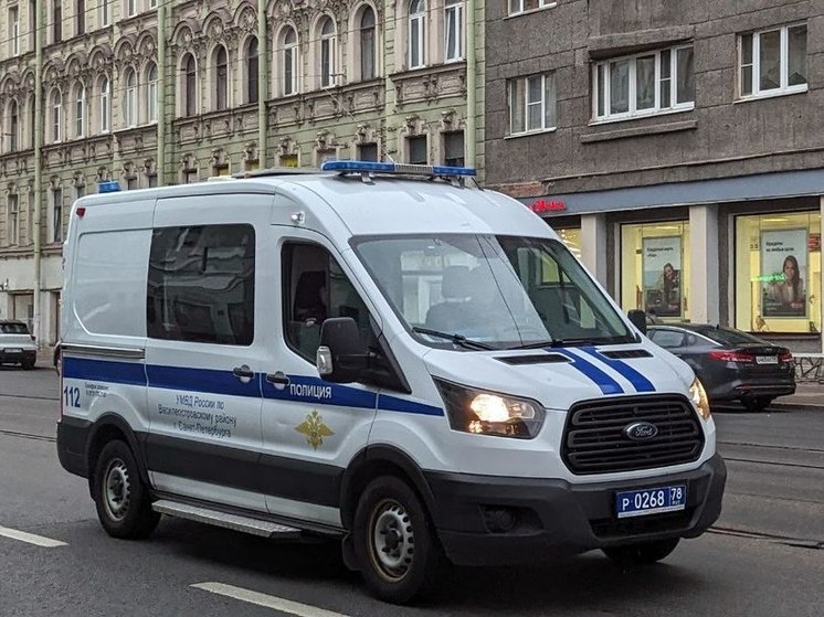 В Ленинградской области задержаны подозреваемые в хулиганстве и грабеже