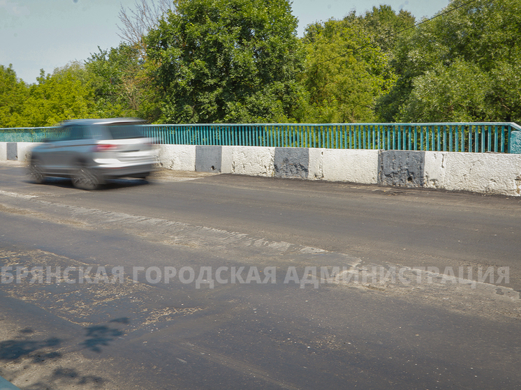 Мост на Речной в Брянске планируют отремонтировать