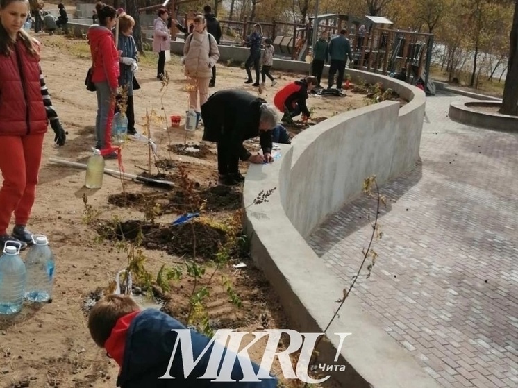 Вандалы снова изуродовали Гагаринский сквер в Чите