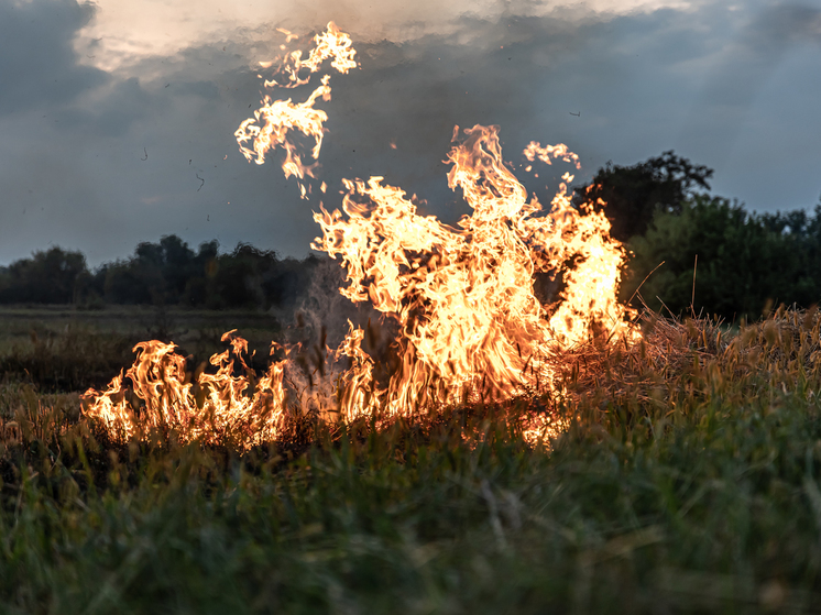 На Запорожье горят поля с пшеницей после атаки ВСУ