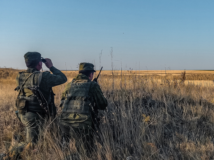 В Саратовской области группа мигрантов пыталась пересечь госграницу