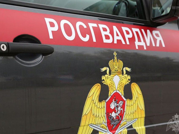 Женщину с двумя крадеными бутылками коньяка задержали в магазине Медвежьегорска