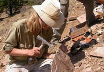 Палеонтологам предстоит узнать больше об образе жизни доисторического подземного жителя

