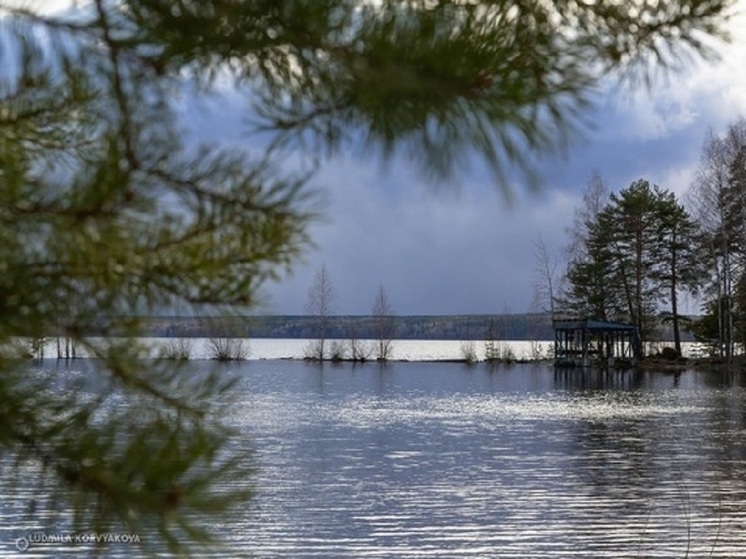 Друзья бросили подростка на пустынном острове посреди озера в Карелии