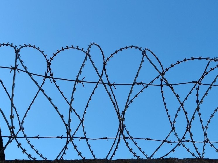 Жительница Тихвина пыталась передать запрещенные вещества сожителю в тюрьму