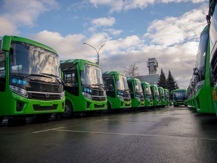 Курск признан городом молодых автобусов