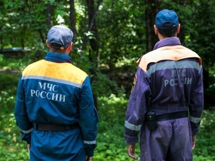 В Еврейской автономии найден пропавший грибник