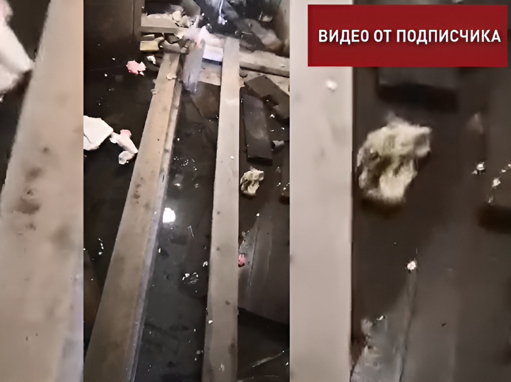 Жители Стародубского пожаловались на медленных строителей