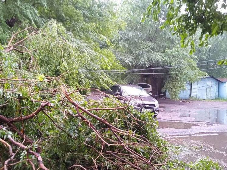 В Омске накануне ураган повалил сразу несколько деревьев