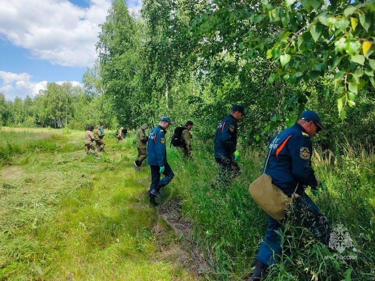 В Еткульском районе в поисках 14-летнего подростка поучаствовали 1800 человек