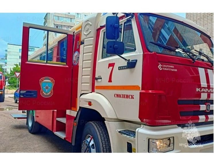 В Смоленске на Изумрудной улице сгорел Форд Мондео