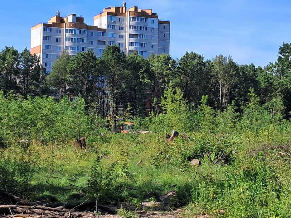 Пенечки да кочки: что творится на месте строительства новой школы на Тайфуне в Калуге 