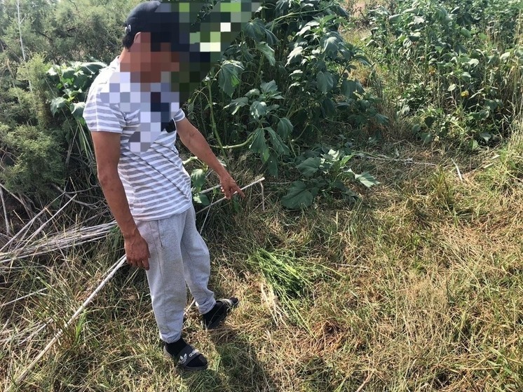 Двоих жителей Калмыкии задержали за хранение наркотических средств