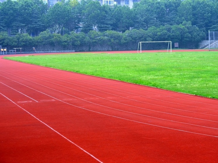 В Москве мигранты выгнали детей со спортплощадки