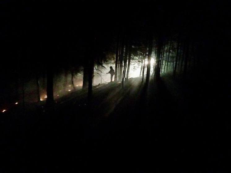Более 600 человек сражаются с огненной стихией в Бурятии