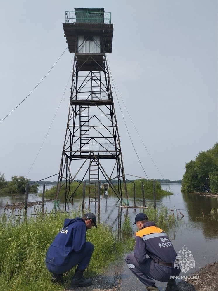 В семи селах Хабаровского края подтоплены 56 дач и пять дорог