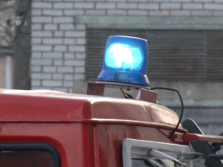 За сутки в Ленобласти пожарные потушили семь пожаров