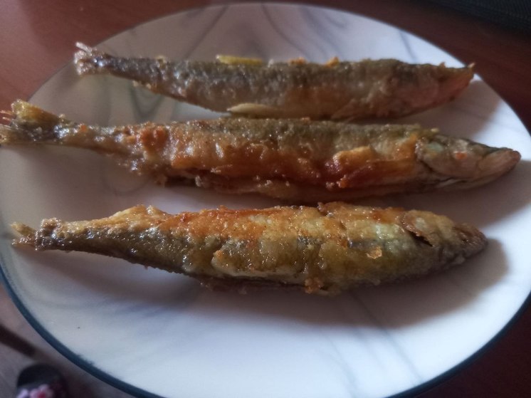 Распределять рыбу по талонам предлагают в Хабаровском крае