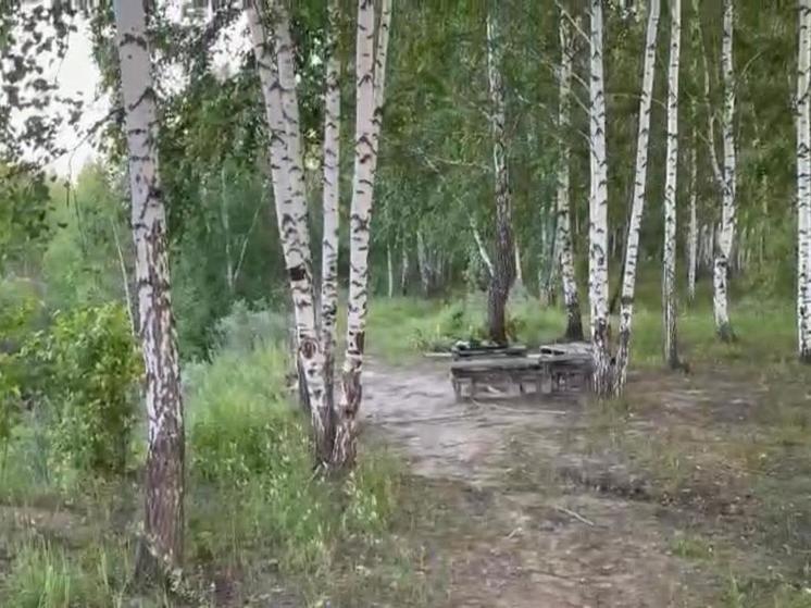 В лесах Новосибирской области пропали 17 человек с начала года