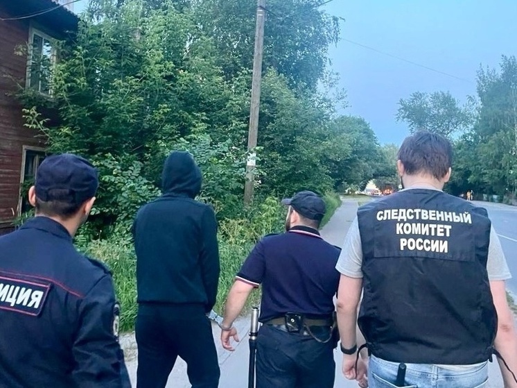 Вологодские следователи нашли причастного к убийству и изнасилованию, совершенным более 18 лет назад