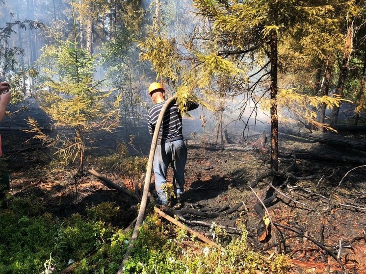 К 15 июля в Подмосковье снизится уровень пожароопасности