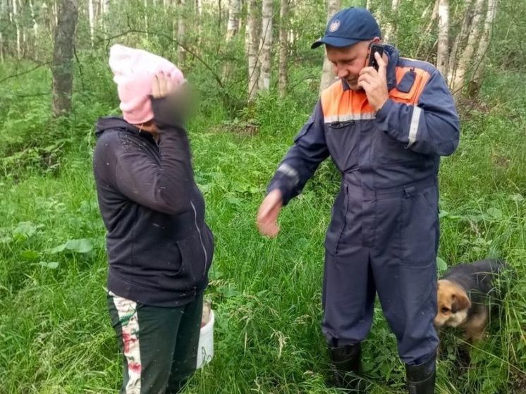 Спасатели Шатуры вывели из леса двух заблудившихся женщин