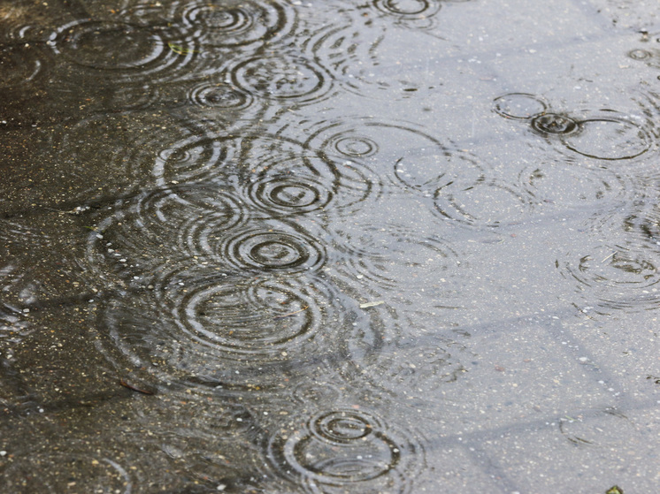 Грозовые дожди вновь накроют столичный регион на выходных