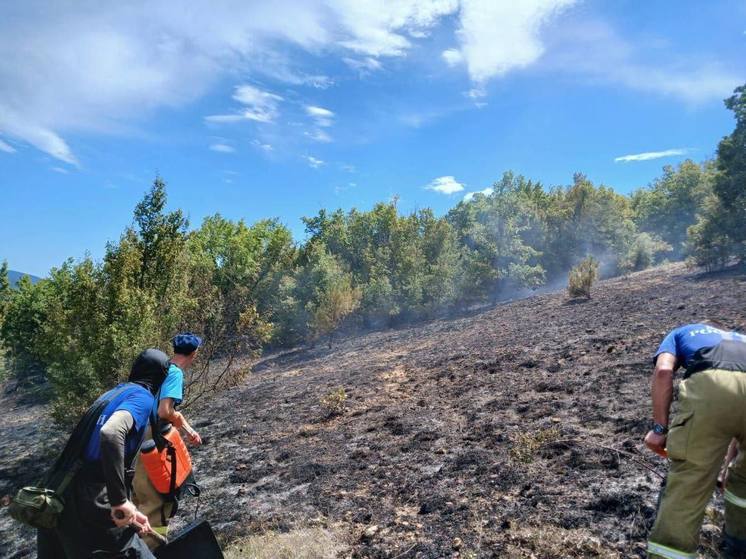 Под Севастополем на площади 4 гектара горит лес и трава