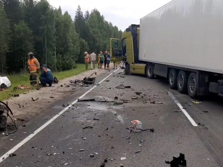 Полиция показала видео с места смертельного ДТП в Карелии