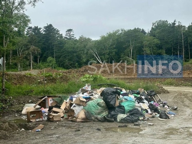 Сахалинские дачники организовали несанкционированную свалку