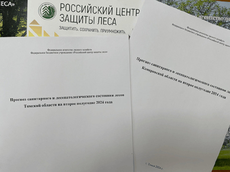 Рослесзащита рассказала о главной угрозе лесам Томской области