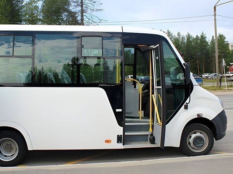В Бийске троих детей высадили из автобуса из-за непрошедшей оплаты