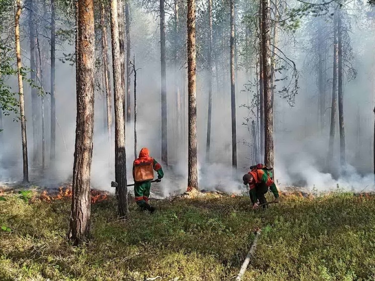 Леса полыхают в Пуровском и Красноселькупском районах