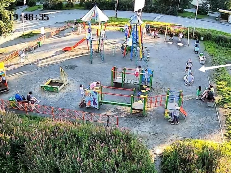 Власти пристыдили двух жителей Кондопоги за желание вспомнить детство