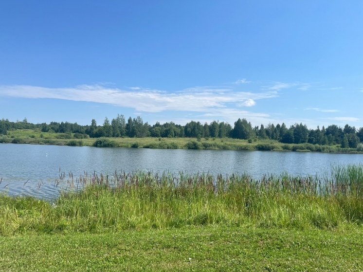 В ДНР ожидается сильная жара