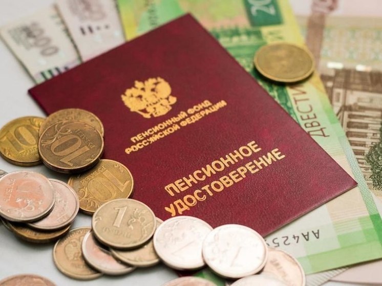 В ДНР самозанятые могут самостоятельно формировать будущую пенсию