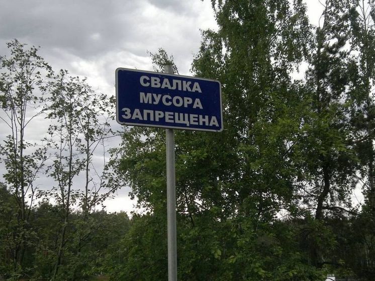 В Костроме становится все меньше несанкционированных свалок