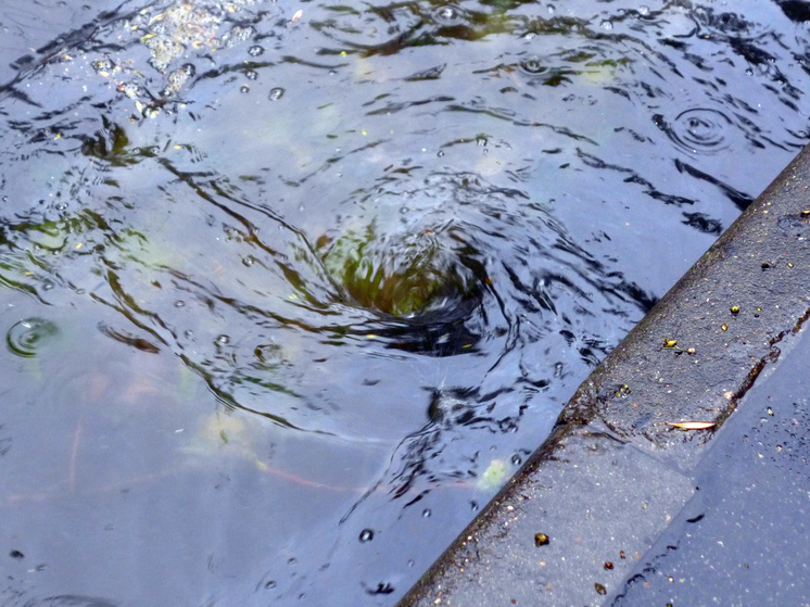 В Москве в воскресенье пройдет гроза с сильным ветром