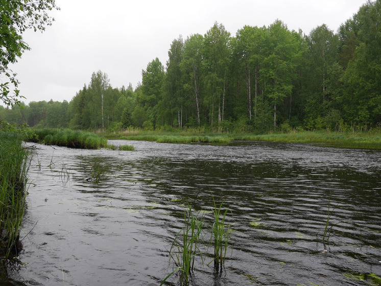 Два человека погибли сегодня на воде в Белозерском и Шекснинском районах