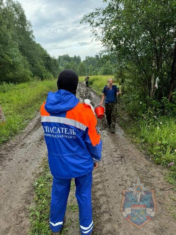 В Тосненском районе спасатели нашли двух заблудившихся мужчин