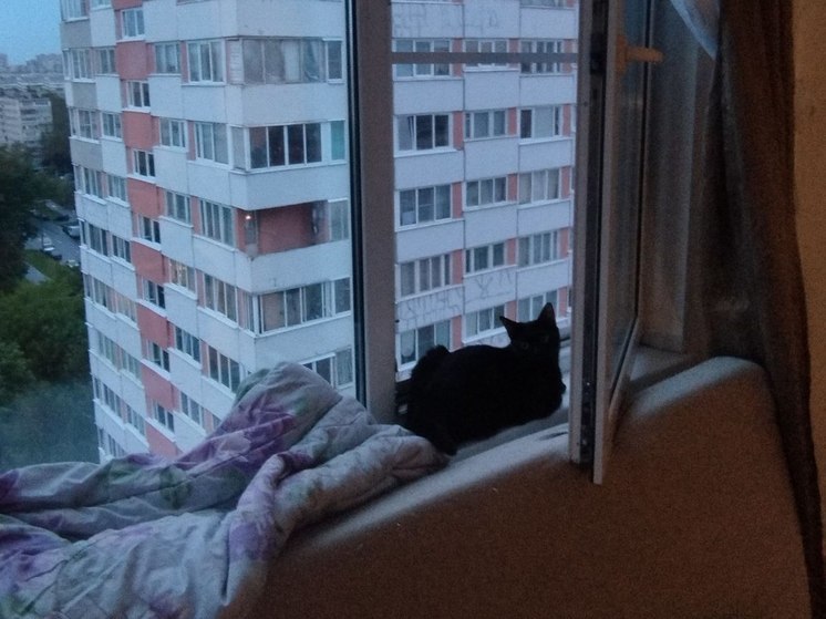 В прокуратуре калининградцам объяснили, как обезопасить детей от падения из окон