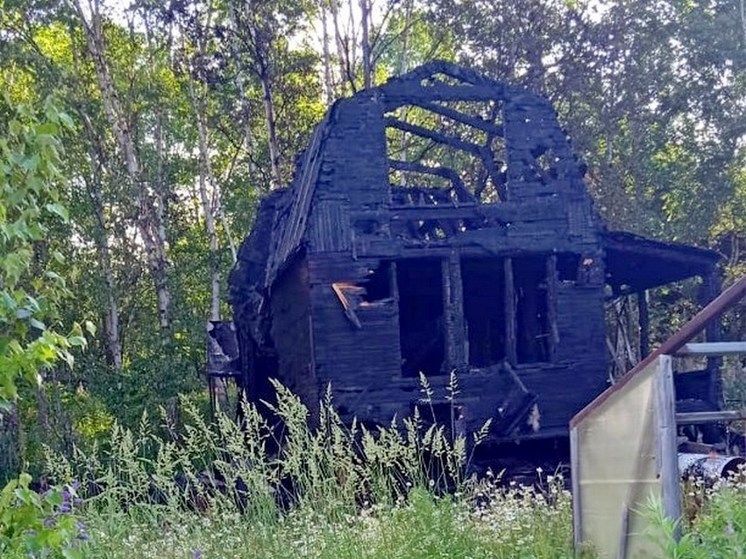  Сахалинцы объявили войну закладчикам и получили угрозы в виде сожженной дачи
