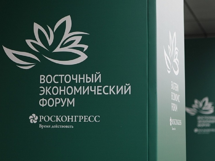 Иностранные участники ВЭФ смогут приехать в Приморье без визы