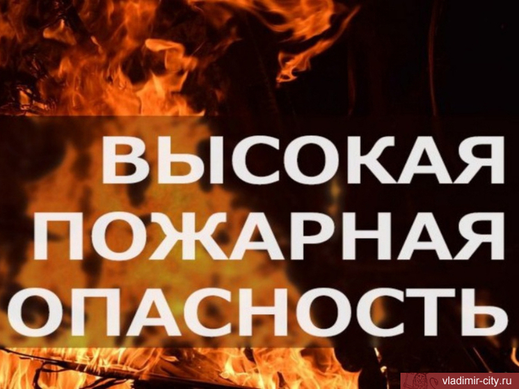 Из-за жары во Владимирской области прогнозируют 4 класс пожароопасности